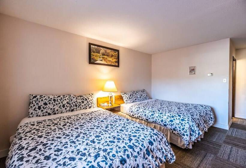 스탠다드 룸 더블 침대 2개, Pleasant Valley Motel Houston