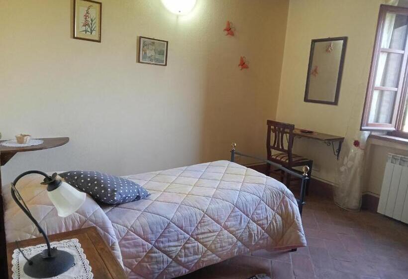Апартаменты 1 Спальня, Agriturismo Collesassi