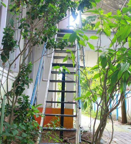 اتاق خانوادگی, Johnson S Homestay   Ecohouseboat