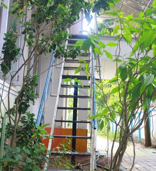 اتاق استاندارد چهار تخته, Johnson S Homestay   Ecohouseboat