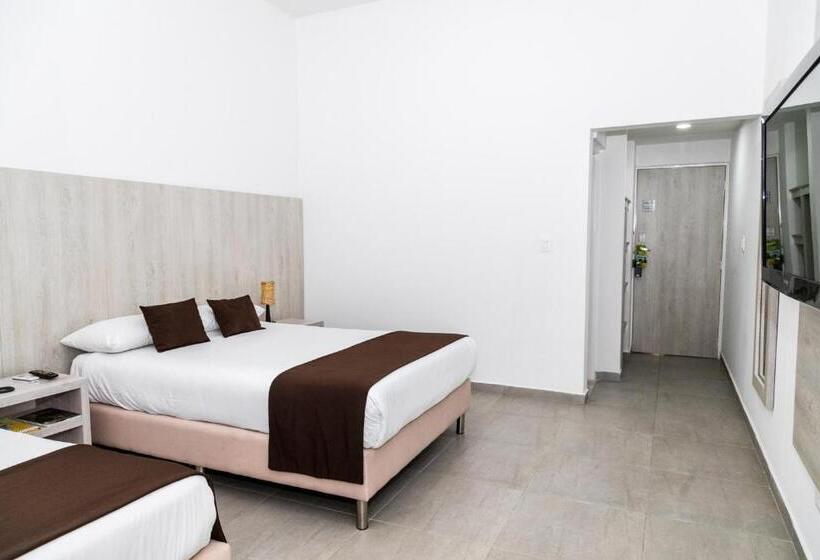 Quarto Triplo Estandar, Palma Verde