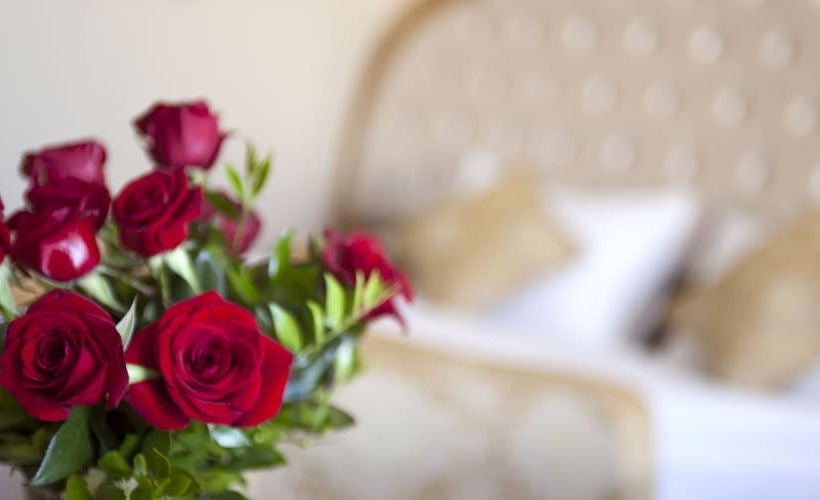 اتاق استاندارد, Oz Hotels Side Premium