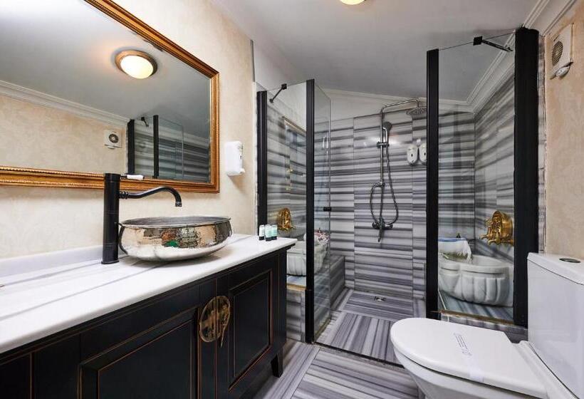 1 Bedroom Duplex Apartment, Faik Pasha Hotels Special Category Beyoglu Istanbul