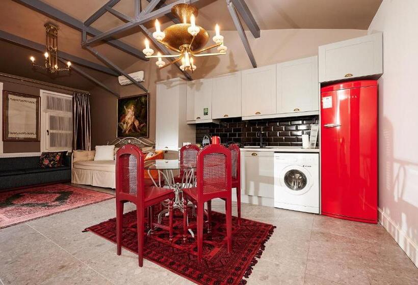 1 Bedroom Apartment with Terrace, Faik Pasha Hotels Special Category Beyoglu Istanbul