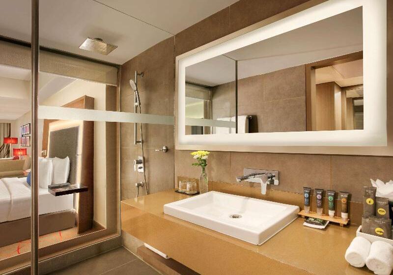 استودیوی استاندارد, Novotel Ahmedabad