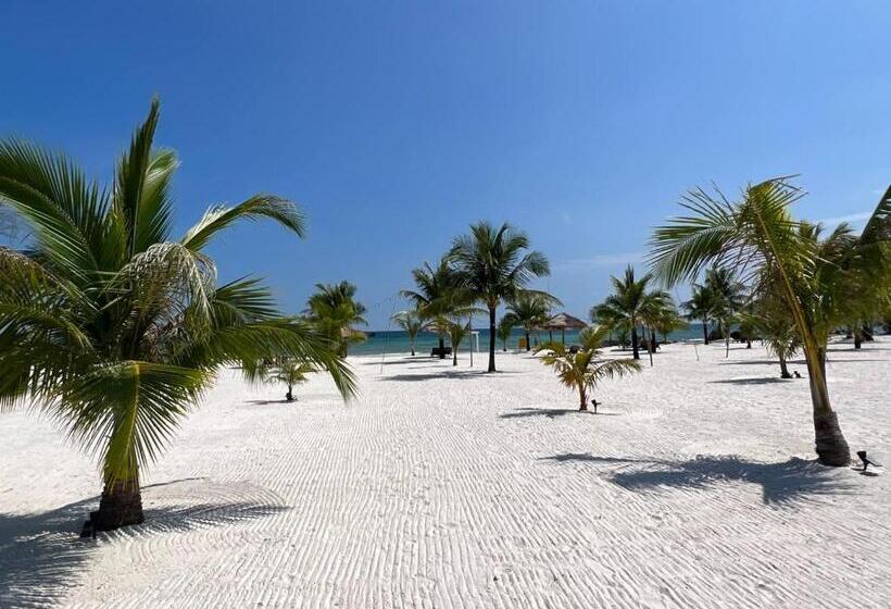 اتاق لوکس با چشم‌انداز دریا, You&me Resort
