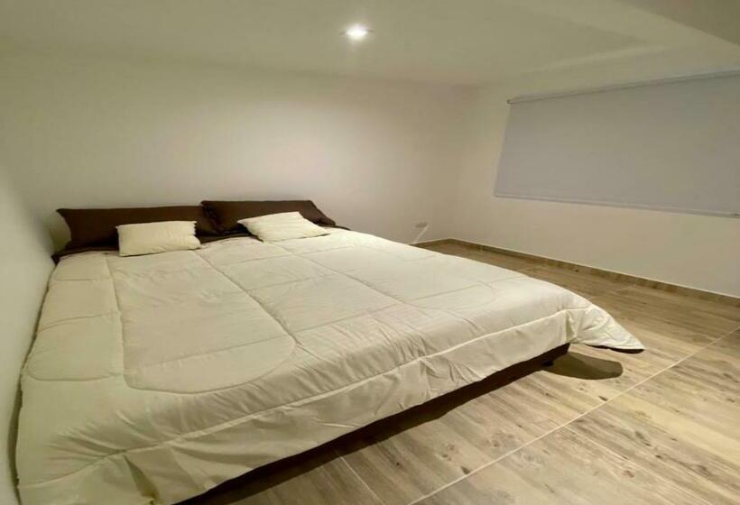 اتاق استاندارد, Habitaciones Tipo Hotel Con Terraza