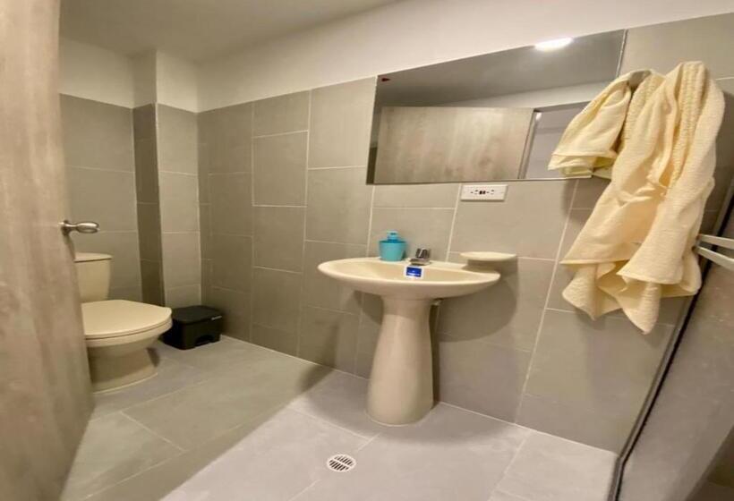 اتاق استاندارد یک نفره, Habitaciones Tipo Hotel Con Terraza