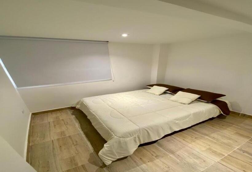 اتاق استاندارد یک نفره, Habitaciones Tipo Hotel Con Terraza