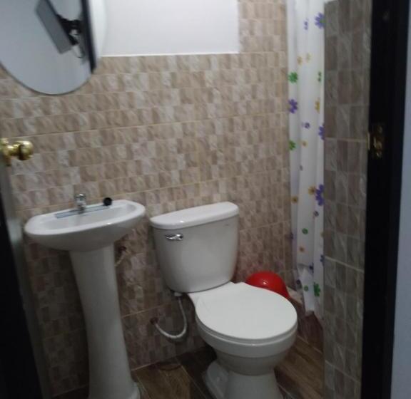اتاق اکونومی, La Petite Maison