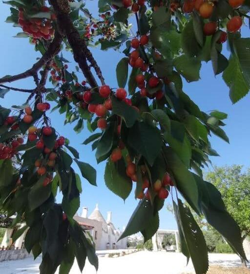 آپارتمان 1 خوابه همکف, Trullo La Chicca Della Valle