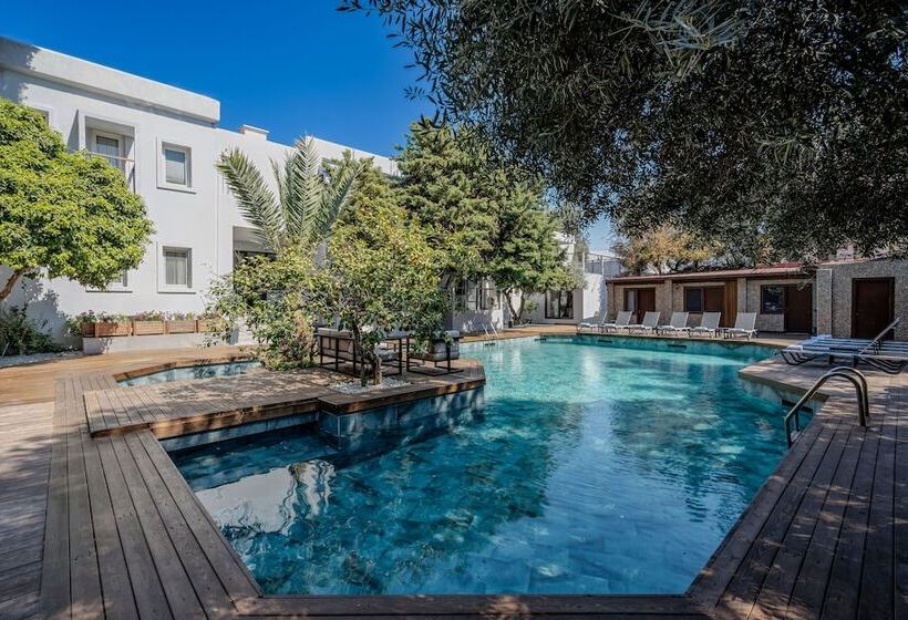 Люкс, Centro Bodrum