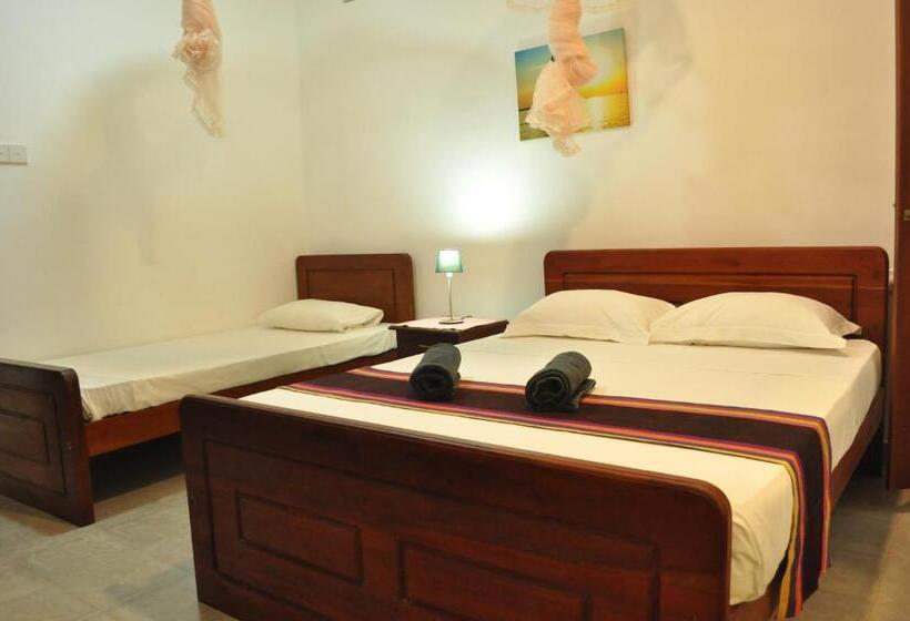 标准三人间, Dions Guest House