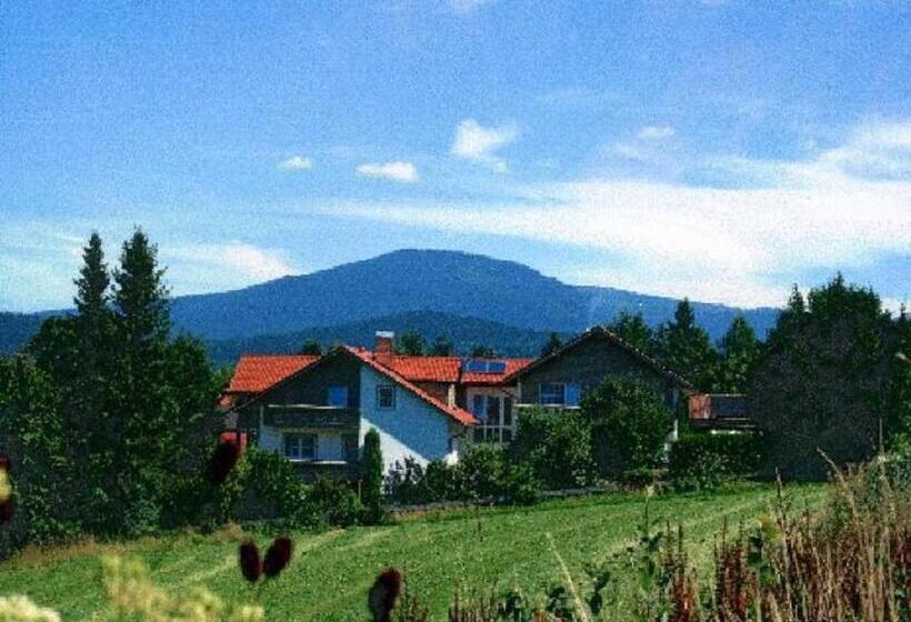 标准单人间, Pension Landhaus Hochfeld