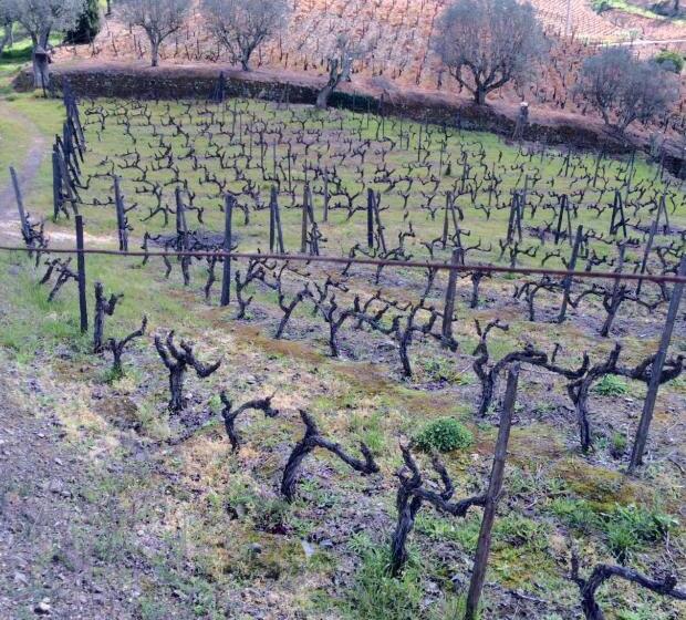 Номер Стандарт, Quinta Do Fôjo