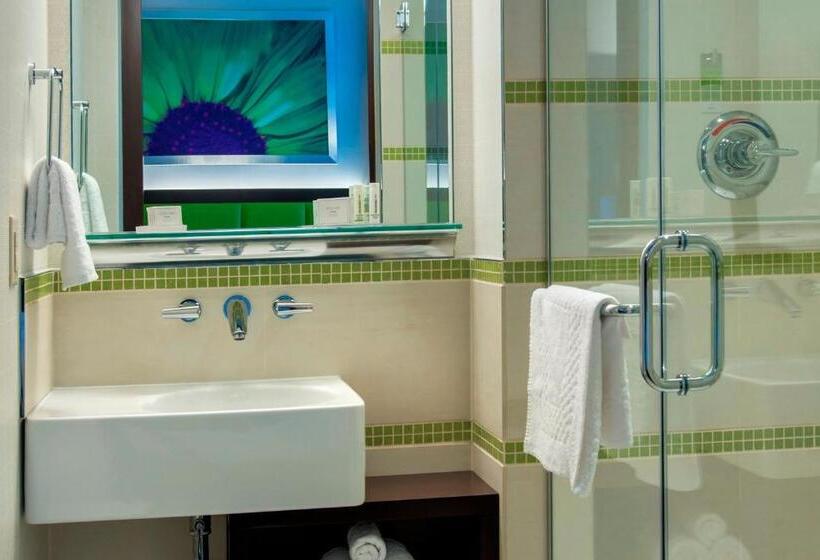 带城市景观的标准工作室, Springhill Suites By Marriott New York Midtown Manhattan/fifth Avenue