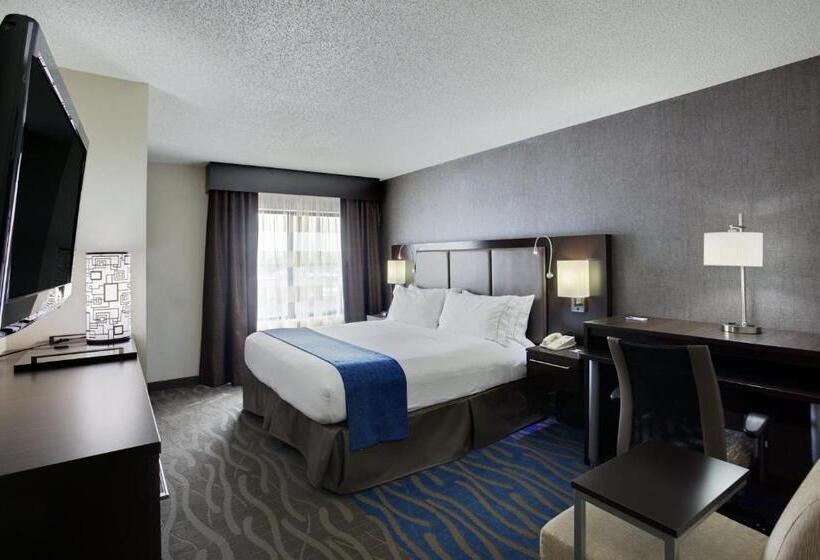 장애인을 위한 킹사이즈 침대 스탠다드 룸, Holiday Inn Express Hotel & Suites Meadowlands Area, An Ihg