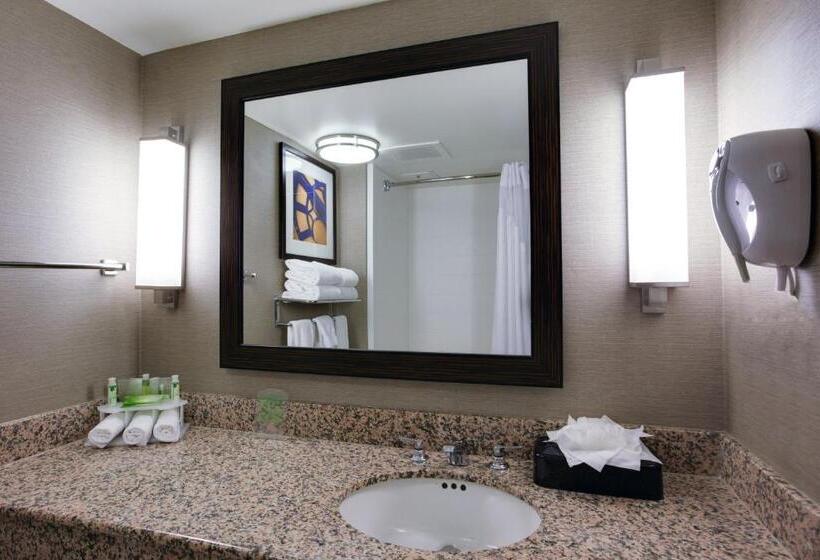 스탠다드 룸 킹사이즈 침대, Holiday Inn Express Hotel & Suites Meadowlands Area, An Ihg