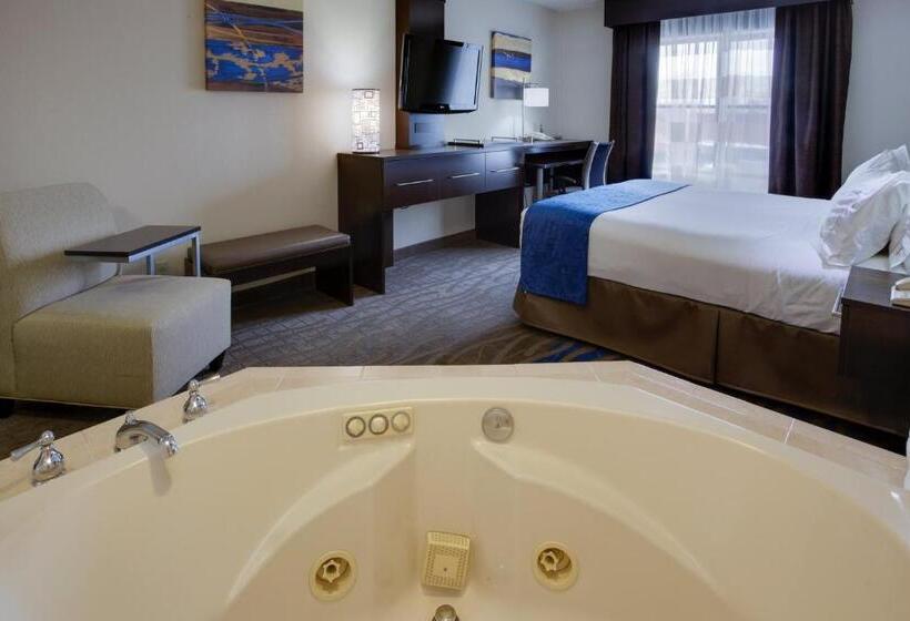 스위트 킹사이즈 침대, Holiday Inn Express Hotel & Suites Meadowlands Area, An Ihg