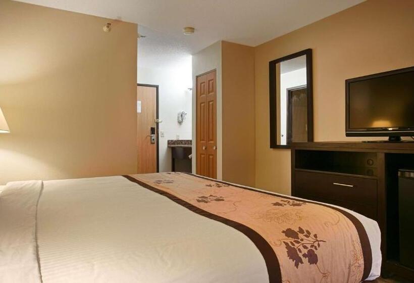 Номер Стандарт Адаптированный для Инвалидов, Best Western Alexandria Inn
