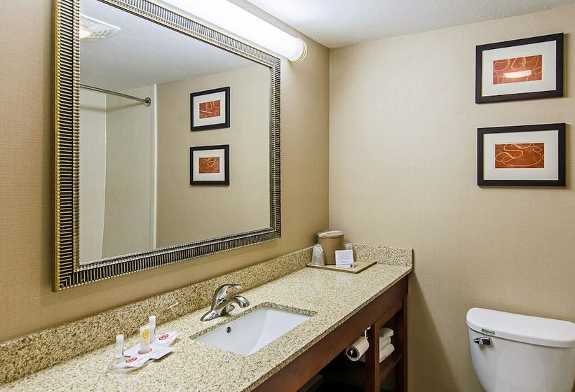 Люкс, Comfort Suites Wytheville