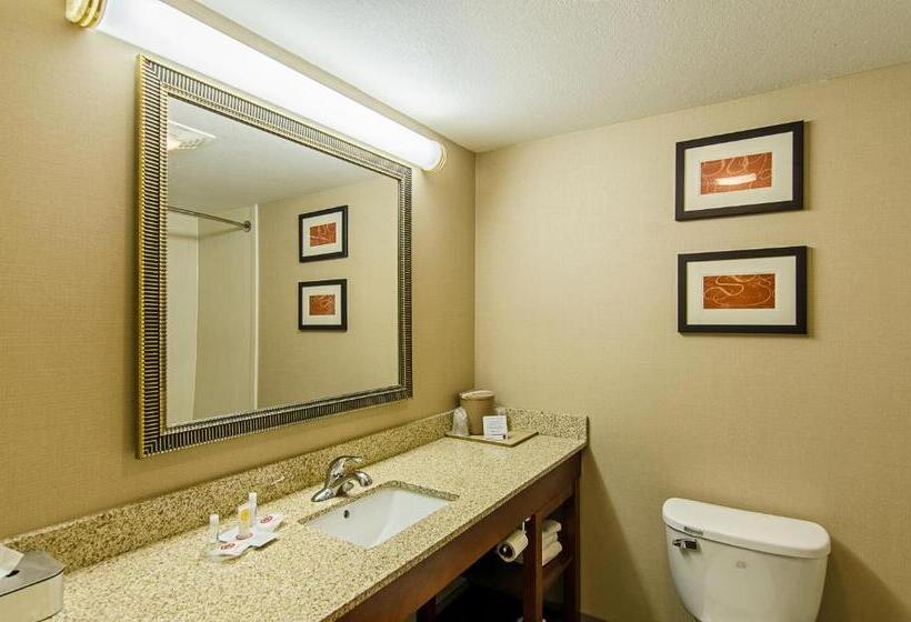 Люкс, Comfort Suites Wytheville