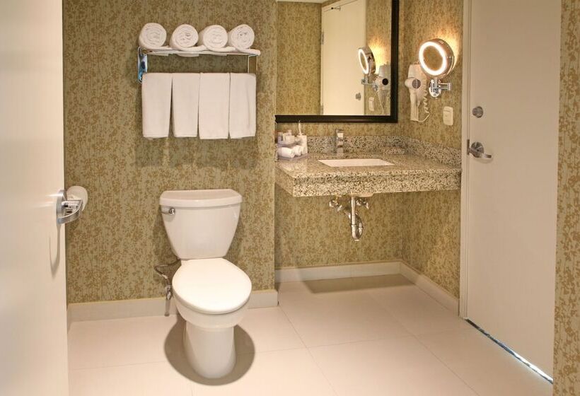 标准间, Holiday Inn Express & Suites Cuernavaca, An Ihg