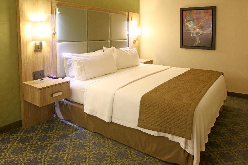 חדר סטנדרט עם מיטת קינג, Holiday Inn Express & Suites Cuernavaca, An Ihg