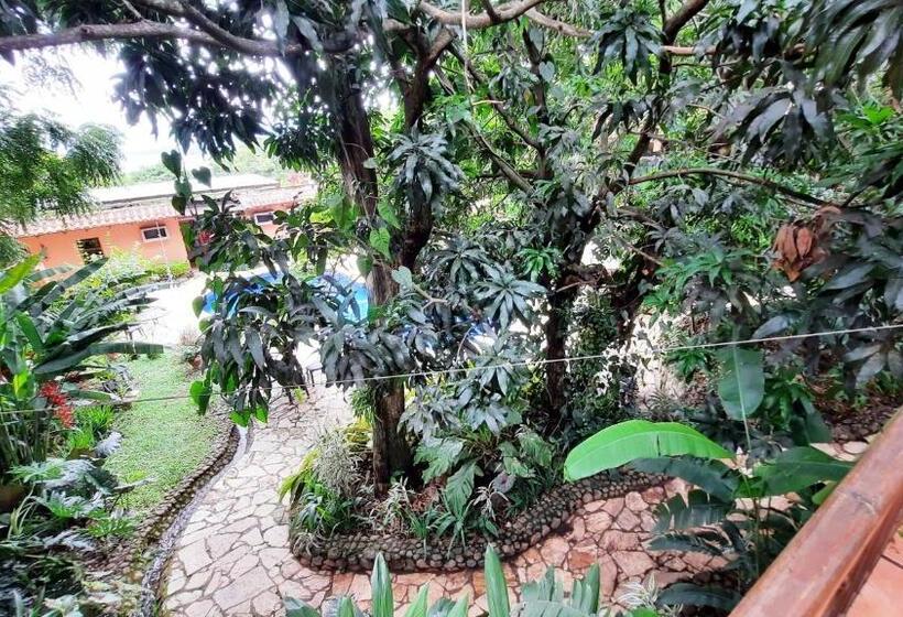 آپارتمان 1 خوابه, Los Almendros De San Lorenzo