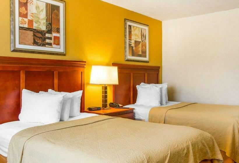 带2个双人床的标准工作室, Quality Inn Dyersburg I155