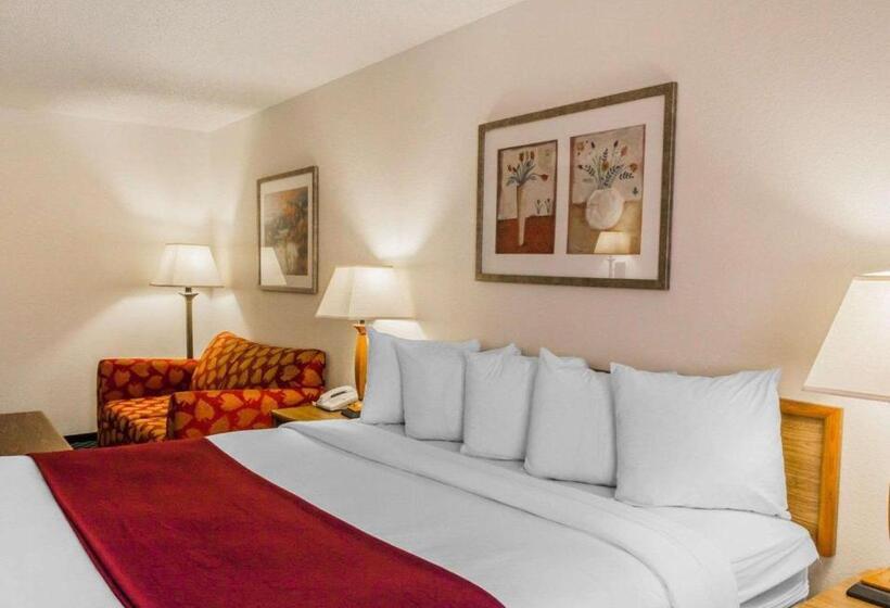 스탠다드 룸 킹사이즈 침대, Quality Inn & Suites Golden  Denver West