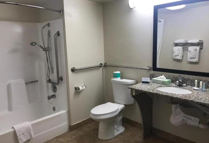Quarto Estandar para Deficientes Físicos, Quality Inn & Suites Near Downtown Mesa