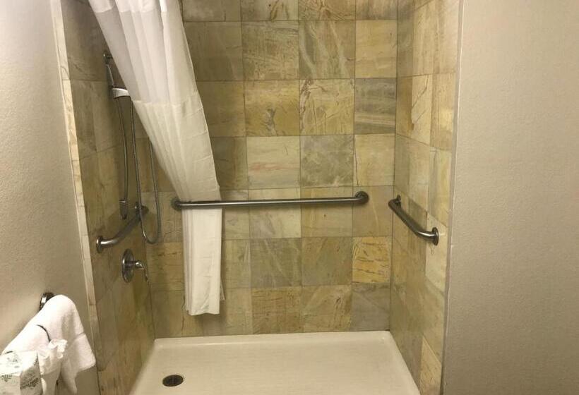 Quarto Estandar Cama King para Deficientes Físicos, Quality Inn & Suites Near Downtown Mesa