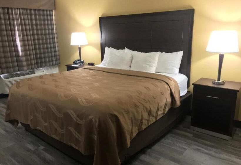 Quarto Estandar Cama King para Deficientes Físicos, Quality Inn & Suites Near Downtown Mesa