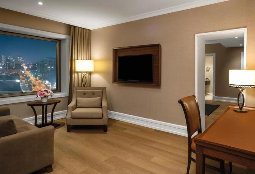 Executive Suite, Rotta Hotel Istanbul