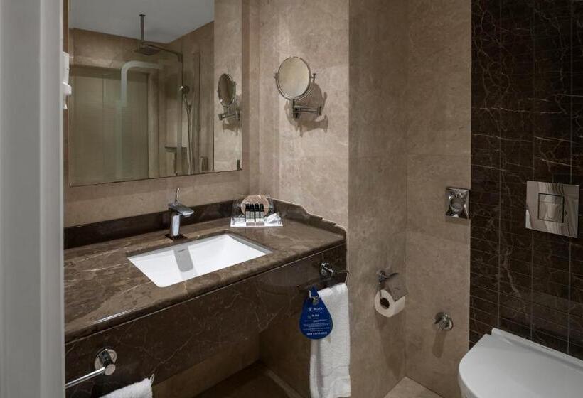 Deluxe Room, Rotta Hotel Istanbul