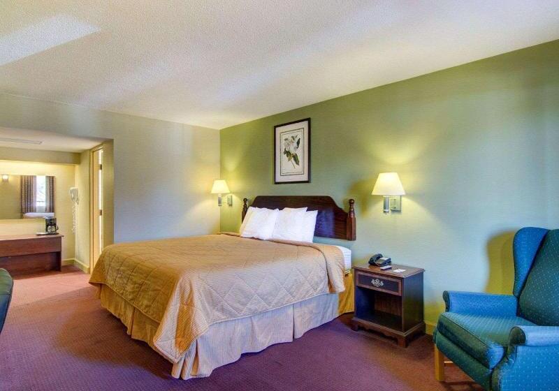 Стандартный Номер Кровать Кинг, Rodeway Inn Hot Springs National Park Area