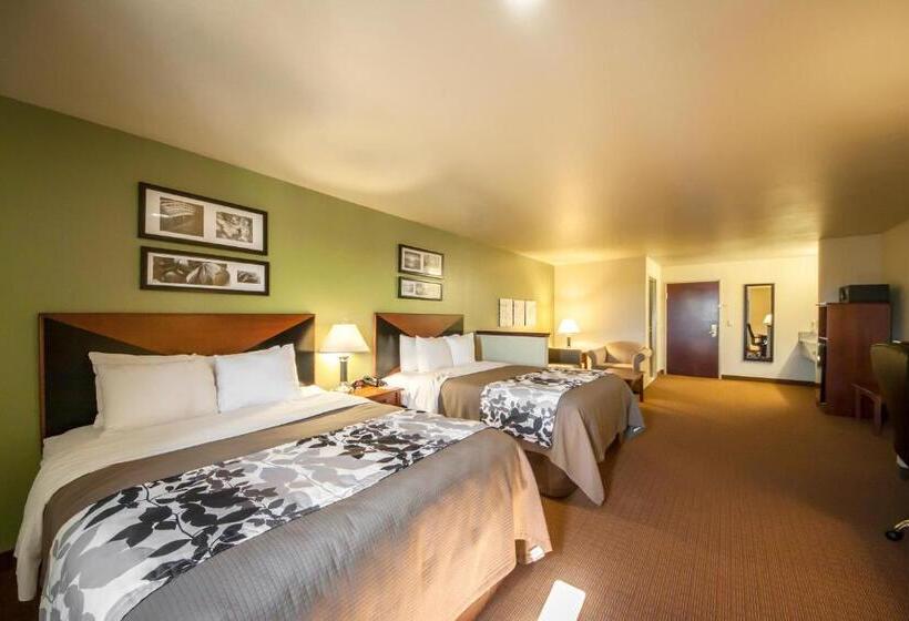 Люкс, Sleep Inn & Suites