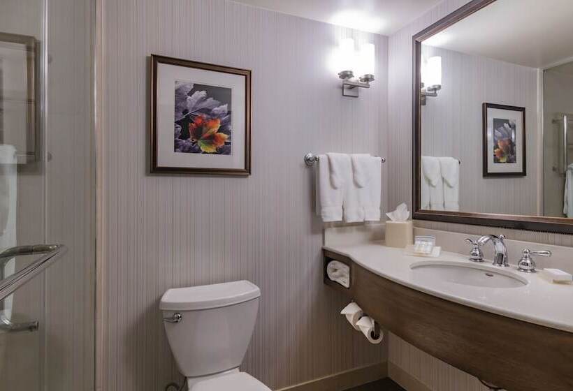 Полулюкс, Hilton Garden Inn Devens Common