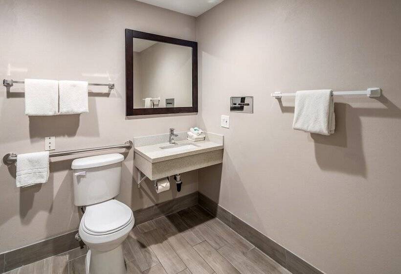 Номер Deluxe Адаптированный для Инвалидов, Red Roof Inn St George Ut  Convention Center