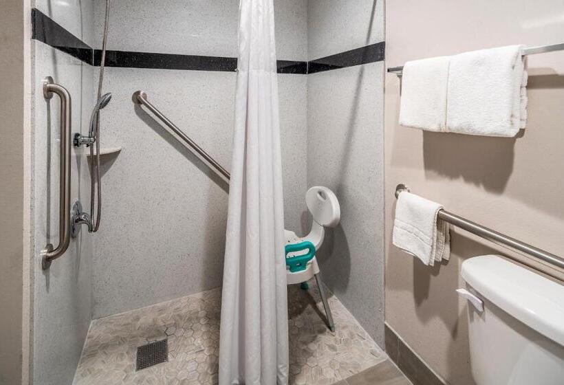 Номер Deluxe Адаптированный для Инвалидов, Red Roof Inn St George Ut  Convention Center