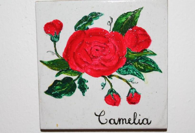 이코노미 룸, Il Casale Di Sandra