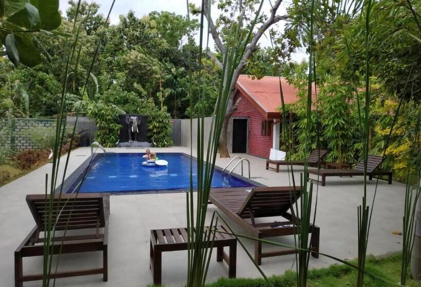 Трехместный Номер Deluxe, Sigiriya Cashew Palace Resort