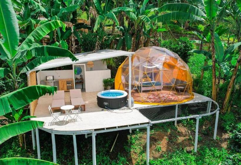 Люкс, Bajo El Cielo Glamping San Francisco