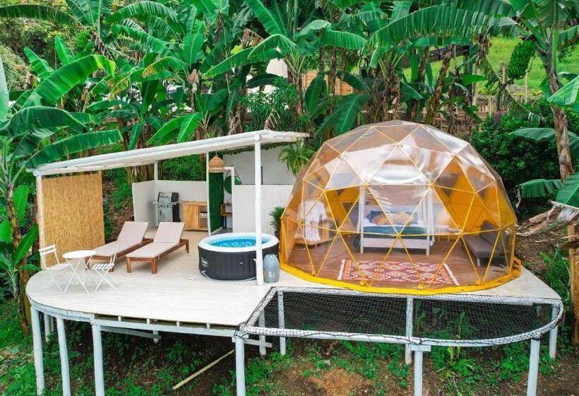 Люкс, Bajo El Cielo Glamping San Francisco