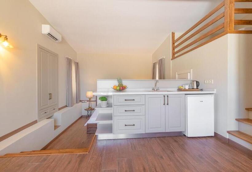 سوییت با چشم‌انداز استخر, Villa Florya