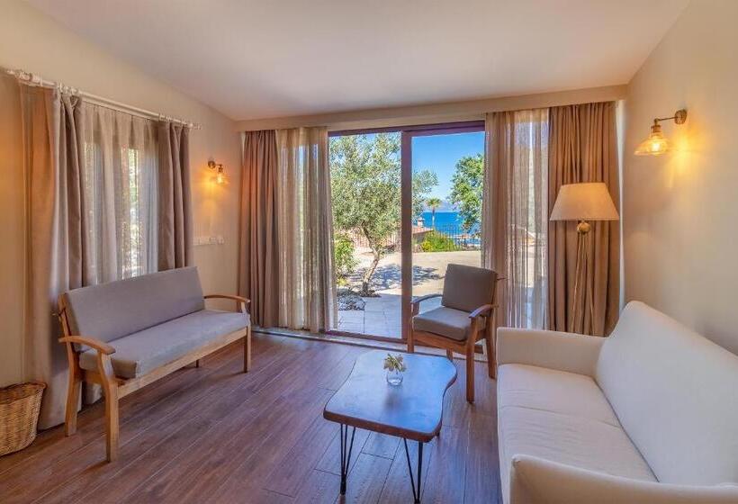 سوییت با چشم‌انداز استخر, Villa Florya