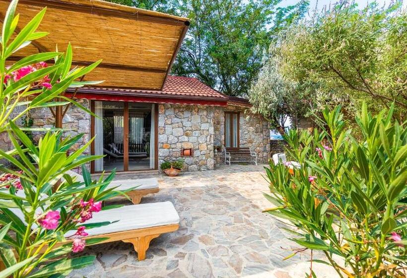 ویلای 1 خوابه, Villa Florya