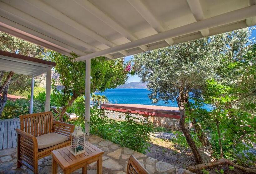 سوییت لوکس, Villa Florya
