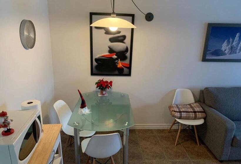 バルコニー付きスタンダードステューディオ, Magog Waterfront Condo